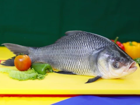 কাতল মাছ -খুলনা/সাতক্ষীরা  ১-২ কেজি সাইজ ,প্রতি কেজি ৩৩০৳ টাকা।