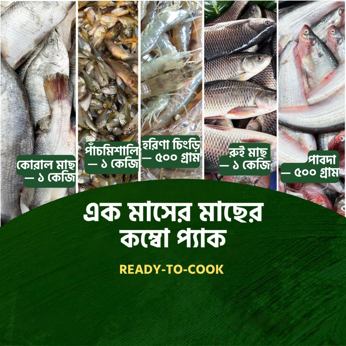 ৫ ধরনের মাছের কম্বো প্যাক — ৪ কেজি (Ready to Cook)