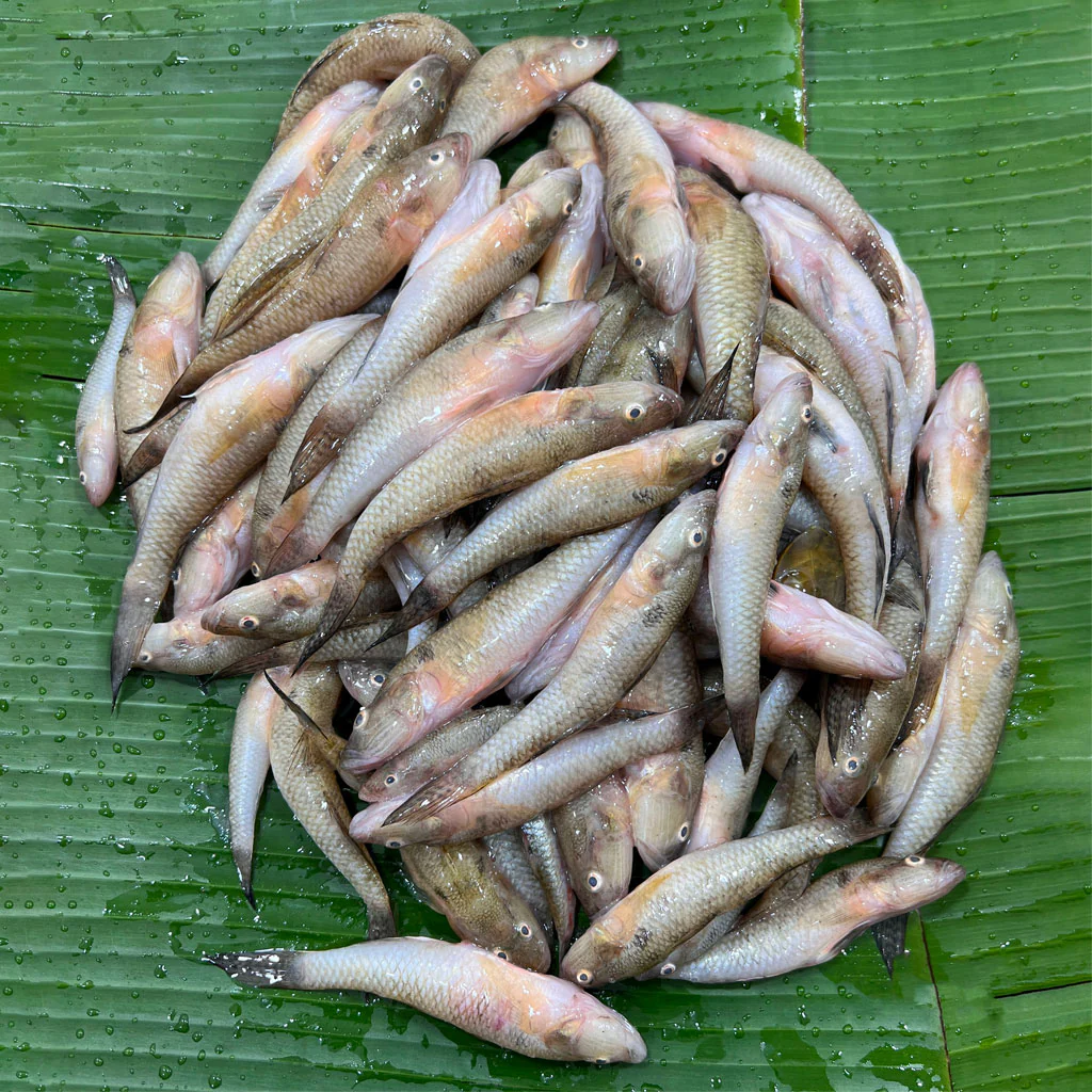 গুড়া বাইলা প্রতি কেজি ৭৫০৳ কেজি।