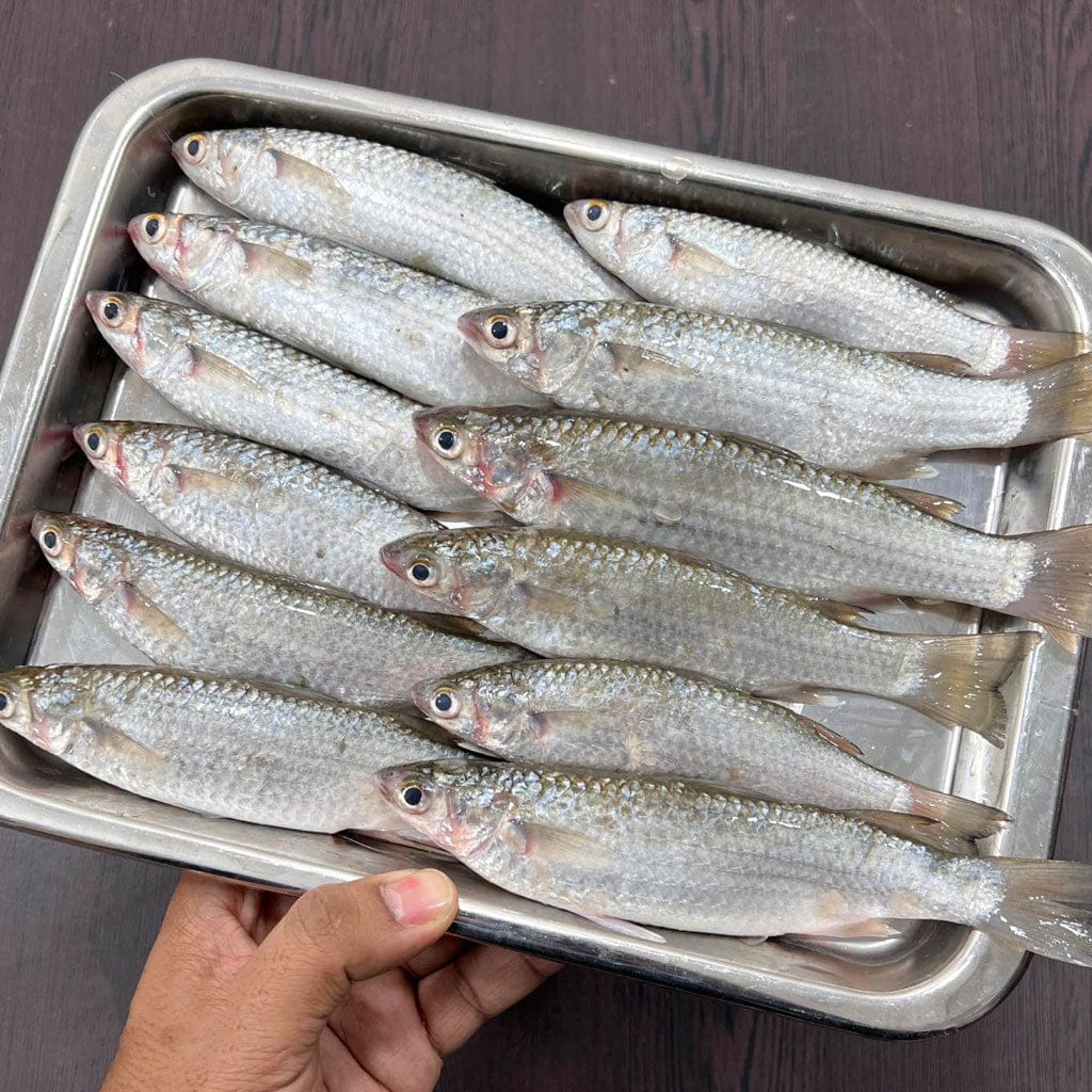 পারশে মাছ ৮০০৳কেজি।
