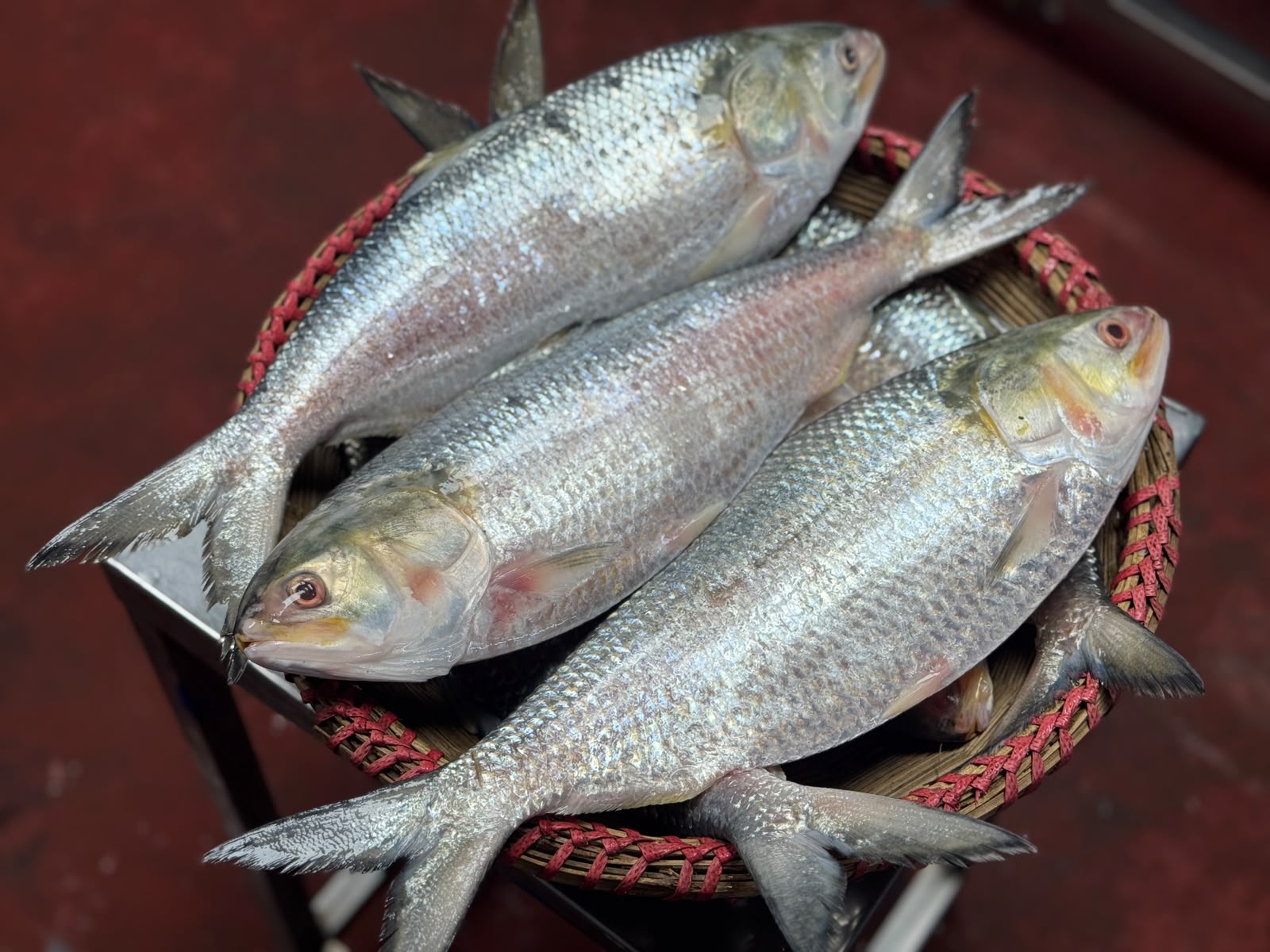 রুপালি ইলিশ,৯০০-১০০০ গ্রাম সাইজ ৩১৫০/-কেজি।